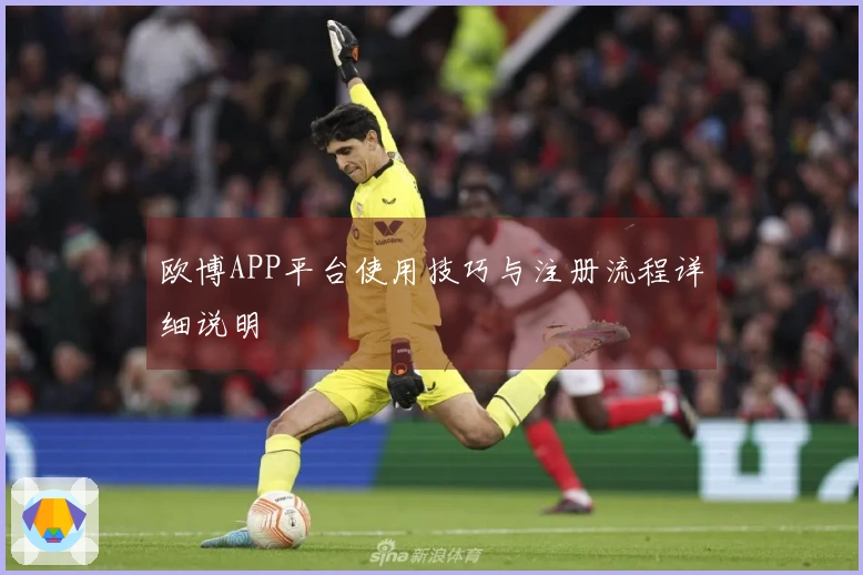 欧博APP平台使用技巧与注册流程详细说明